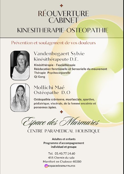 ESPACE DES MURMURES - VANDENBOGAERT SYLVIE - KINE - OSTEO, Kinésithérapeute à Montfort-en-Chalosse