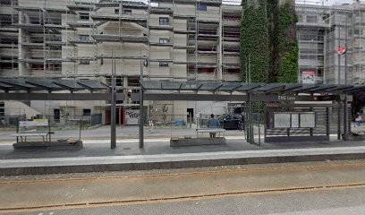 Leclercq Cécile, Kinésithérapeute, Kinésithérapeute à Lyon 07