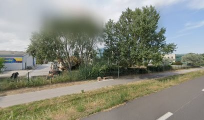 Calvet Alain, Kinésithérapeute à Toulouges