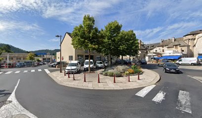 Domingues Daniel, Kinésithérapeute à Marvejols