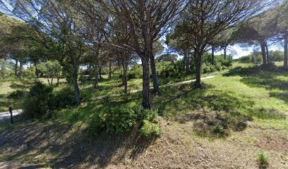 Ackerman Alexandre, Kinésithérapeute à Sainte-Maxime
