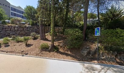 Marc ROGGERI - Kinésithérapeute du Sport, Kinésithérapeute à Valbonne