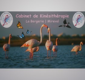Kinésithérapeute, Kinésithérapeute à Mireval
