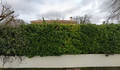 ECOLE PLEINE VOIX, Kinésithérapeute à Saint-Lys