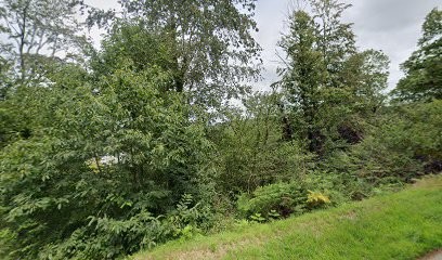 Morbic Scm, Kinésithérapeute à La Roche-Maurice