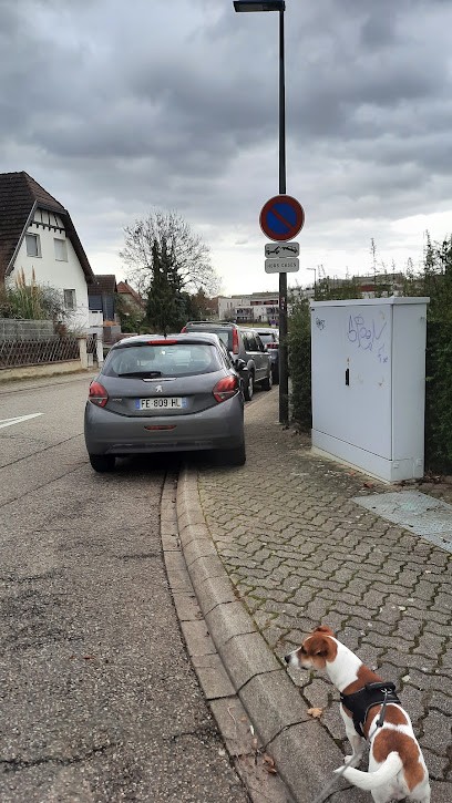KRESS SIEGEL Laetitia Masseur-kinésithérapeute, Kinésithérapeute à Souffelweyersheim