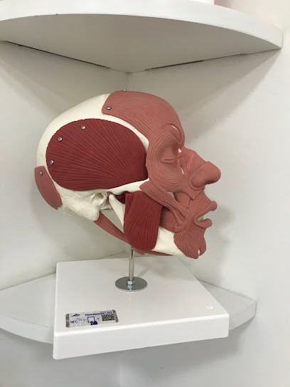 Tiago PIRES / Kinésitherapie Maxillo Faciale, Du Membre Supérieur (Épaule, Coude, Main) Et Du Rachis Cervical, Kinésithérapeute à Saint-Mathieu-de-Tréviers