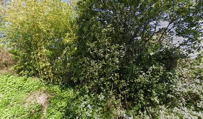 Sophie Merrienne, Kinésithérapeute à Saint-Germain-sur-Ay