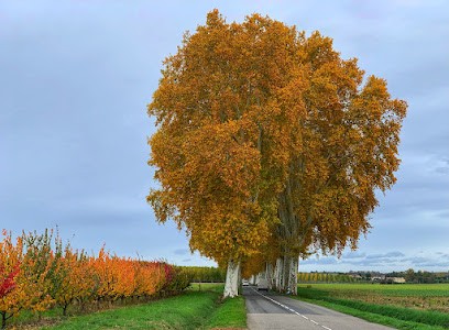 Couthures Marie, Kinésithérapeute à Vielle-Saint-Girons