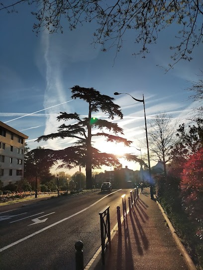 Le Cèdre, Kinésithérapeute au Plessis-Robinson
