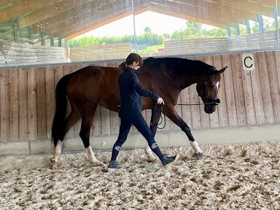 Cheval En Forme, Kinésithérapeute à Manduel