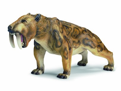 Schleich Vincent, Kinésithérapeute à Vélizy-Villacoublay