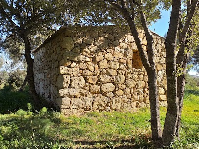 Peyronnat Sophie, Kinésithérapeute à Zonza
