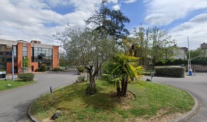 Zinutti Elisabeth, Kinésithérapeute à Montauban