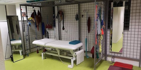 Bachowski Krystian, Kinésithérapeute à Neussargues en Pinatelle