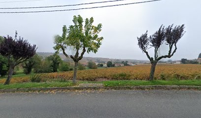 Kinés du Beaujolais, Kinésithérapeute à Lancié