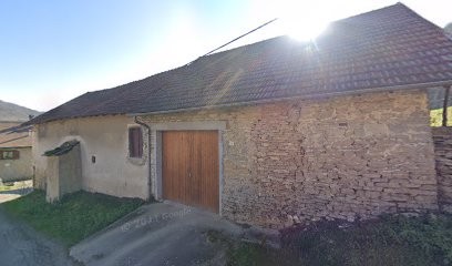 Pras Dominique, Kinésithérapeute à Villemoirieu