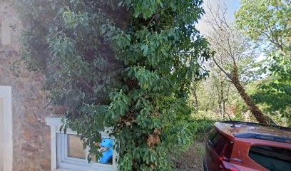 Brulbault Pierre, Kinésithérapeute au Bosc