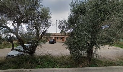 Kinésithérapeute Fanny MERLE - Tourrettes Sur Loup, Kinésithérapeute à Tourrettes-sur-Loup