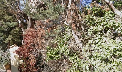 Kinesitherapeute à Domicile, PREZIOSI, Kinésithérapeute à Fuveau