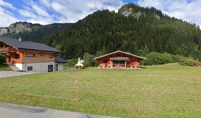 Skines, Kinésithérapeute à Châtel