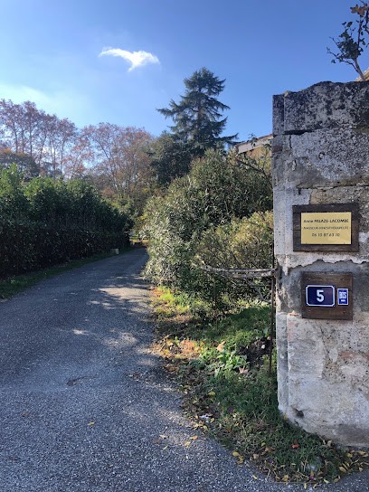 ANNE PALAZE LACOMBE, Kinésithérapeute à Nérac